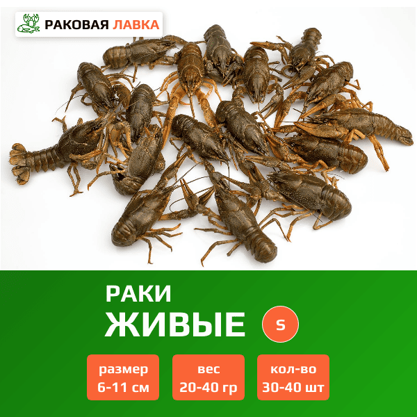 Живые раки S