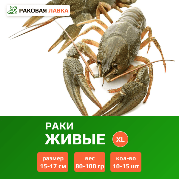 Живые раки XL