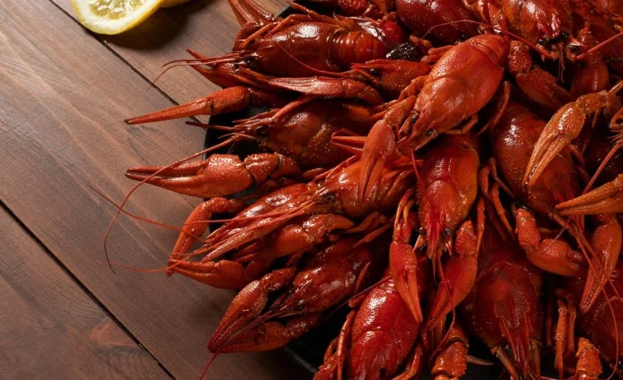 klassicheskiy-recept-varki-rakov-poshagovoe-prigotovlenie