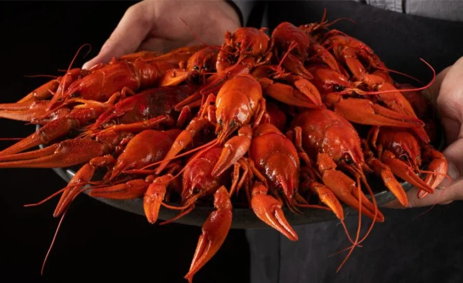 polza-rakov-dlya-zdorovya-vitaminy-belki-i-mineraly