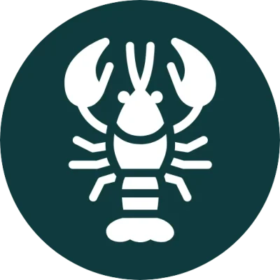 raki_minsk_favikon raki_minsk_favikon