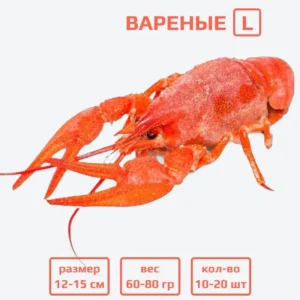 Раки вареные L (60-80 г) с доставкой в Минске