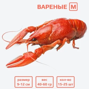 Раки вареные M (40–60 гр) с доставкой в Минске
