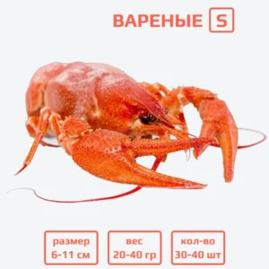 Раки живые XXL (100+ гр) с доставкой в Минске