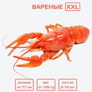 Раки вареные XXL (100+ гр) с доставкой в Минске