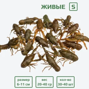 Раки живые S (20-40 гр) с доставкой в Минске