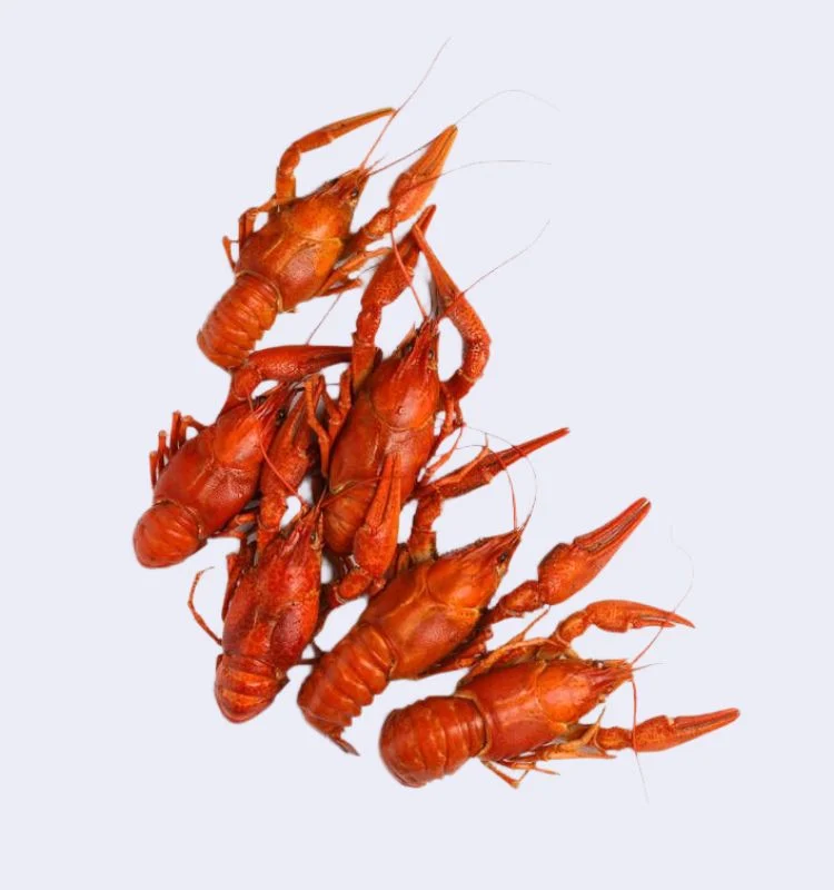 Раки вареные L 4 Раки вареные L (60-80 г) с доставкой в Минске — изображение 4
