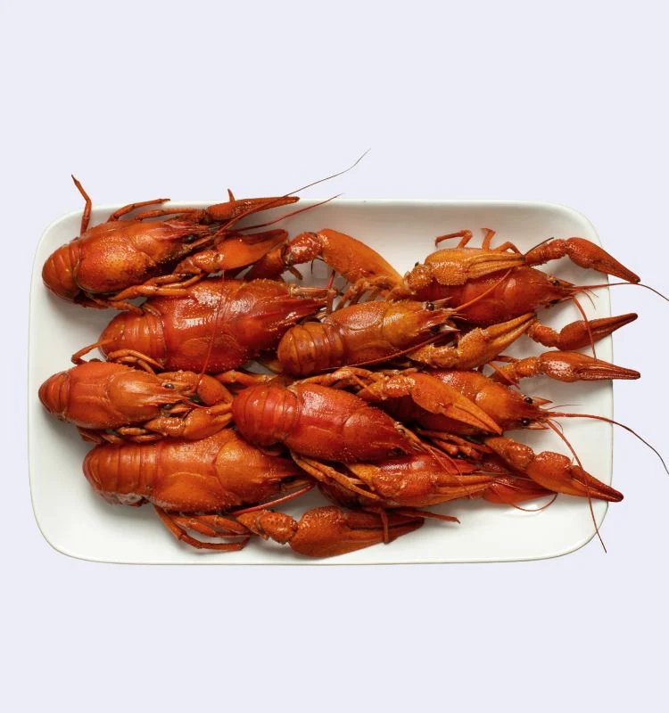 Раки вареные L 3 Раки вареные L (60-80 г) с доставкой в Минске — изображение 3