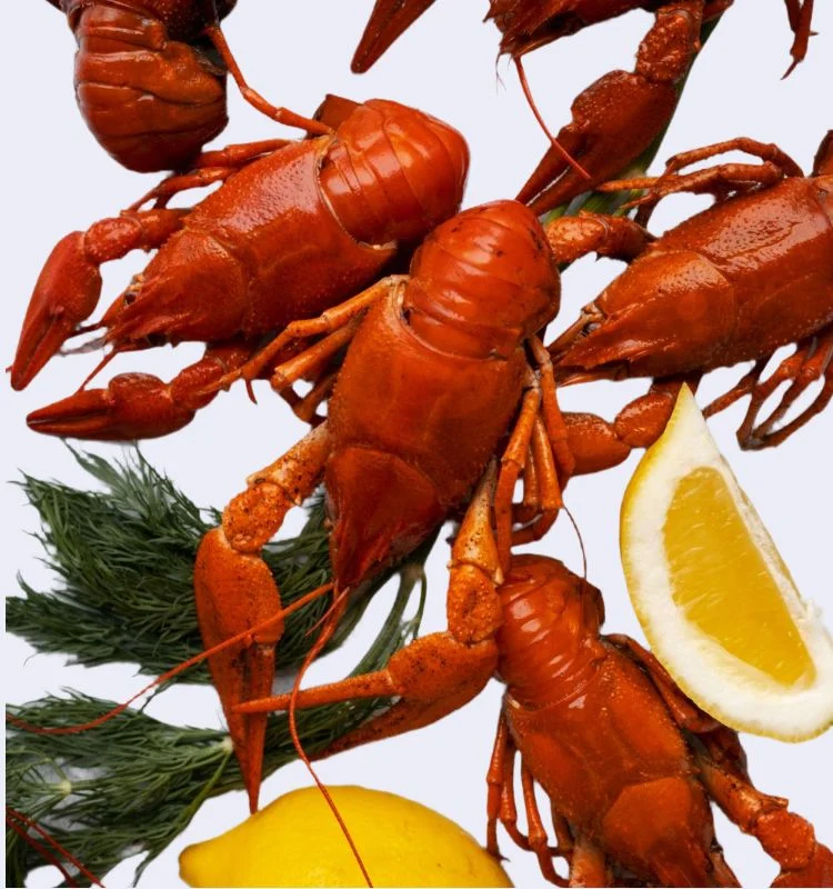 Раки вареные M 4 Раки вареные M (40–60 гр) с доставкой в Минске — изображение 4