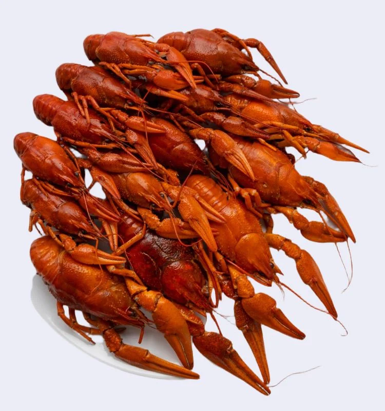 Раки вареные M 3 Раки вареные M (40–60 гр) с доставкой в Минске — изображение 3