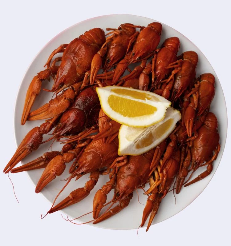 Вареные раки XL 4 Раки вареные XL (80-100 гр) с доставкой в Минске — изображение 4
