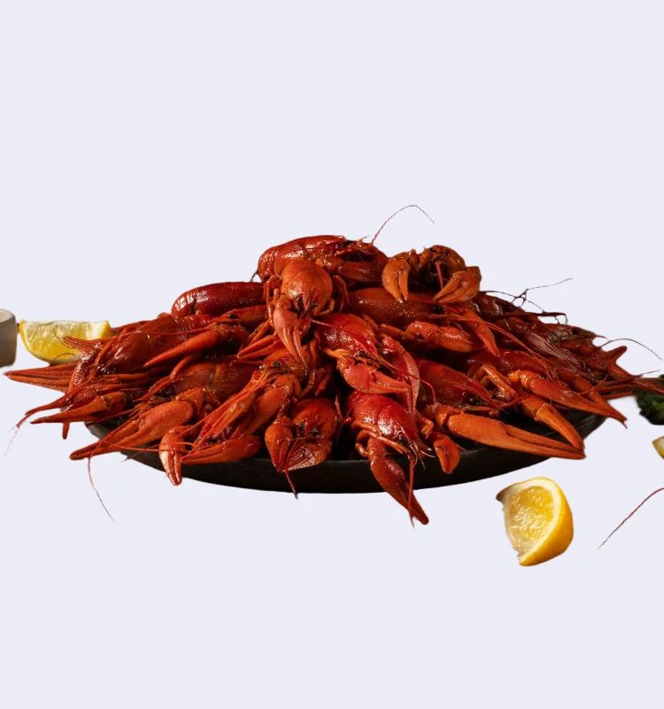 Вареные раки XL 3 Раки вареные XL (80-100 гр) с доставкой в Минске — изображение 3