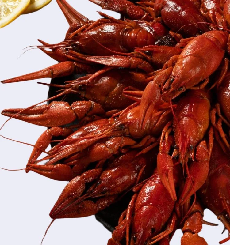 Вареные раки XL 2 Раки вареные XL (80-100 гр) с доставкой в Минске — изображение 2